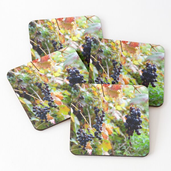 Item preview, Grapevine designed and sold by BreeFarinaPhoto.