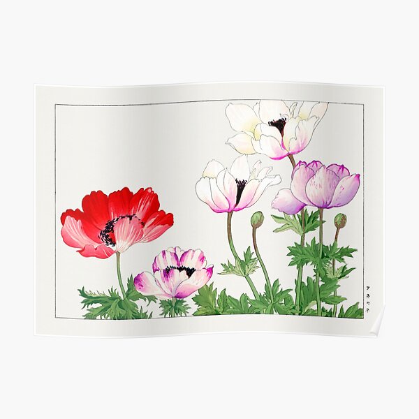 "Beautiful flower pattern and poster for your home and bedroom" Poster