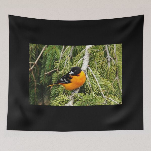 Artikelvorschau, Hochgelegenes Baltimore Oriole entworfen und verkauft von Debbie Oppermann.