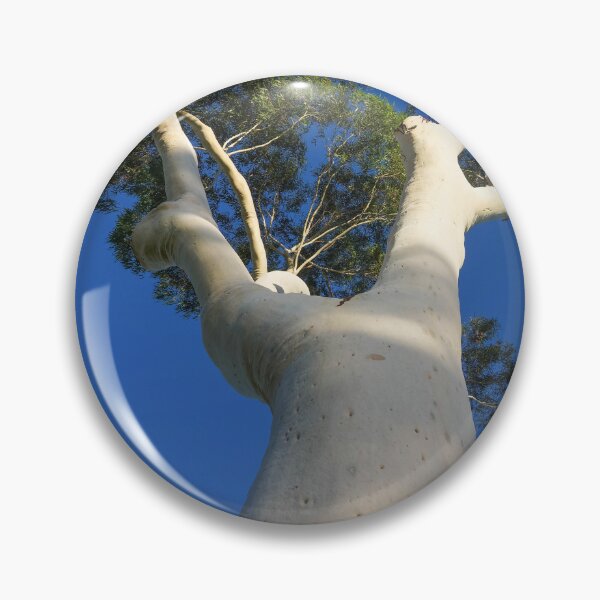 Item preview, Ghost Gum Tree at Lake Weeroona - Bendigo, Victoria, Australia designed and sold by Steven Jodoin.