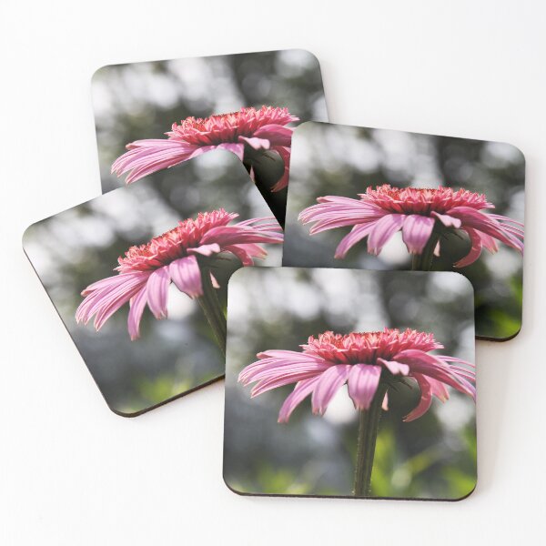 Item preview, Echinacea designed and sold by Alyce Taylor.