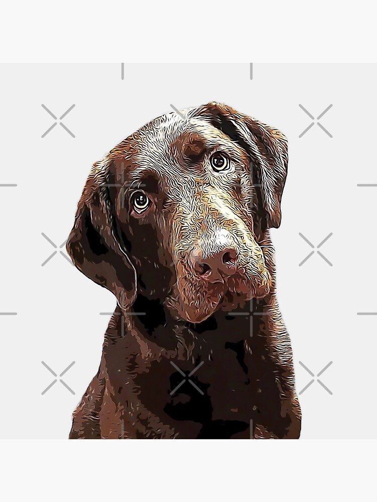 Labrador Chocolate Lab  Throw Pillow for Sale by ElegantCat