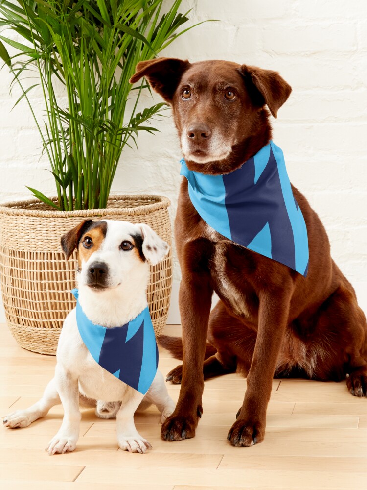 Aston villa 2025 dog bandana