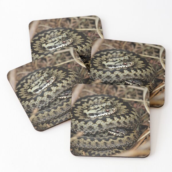 Item preview, Ashdown Adders designed and sold by Christian Moss.