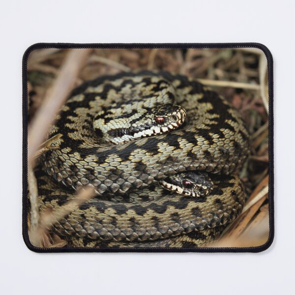 Item preview, Ashdown Adders designed and sold by Christian Moss.