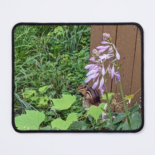 Item preview, Chipmunk in the Hostas  designed and sold by arfff.
