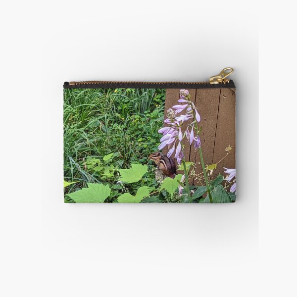 Aperçu de l'œuvre Chipmunk dans les Hostas créée et vendue par arfff.