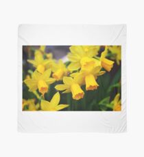 Daffodil Scarf