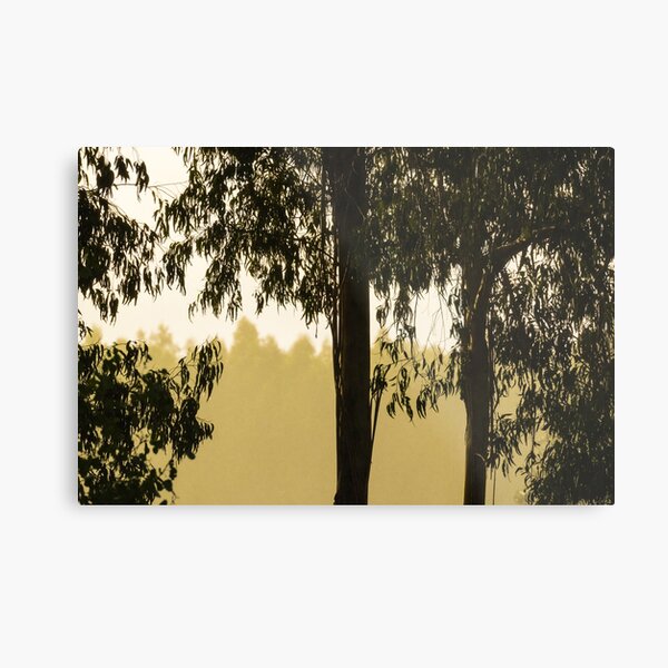 Gold and Black Metal Print