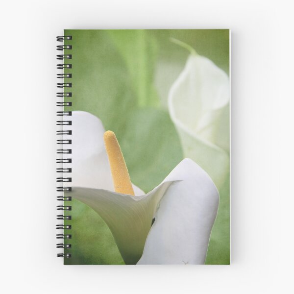 Aperçu de l'œuvre Calla Lilies créée et vendue par Alyce Taylor.