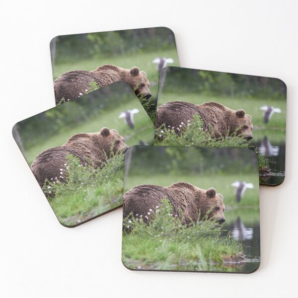 Item preview, Feeling a bit shy. Brown bear designed and sold by Jouko Lehto Photography.