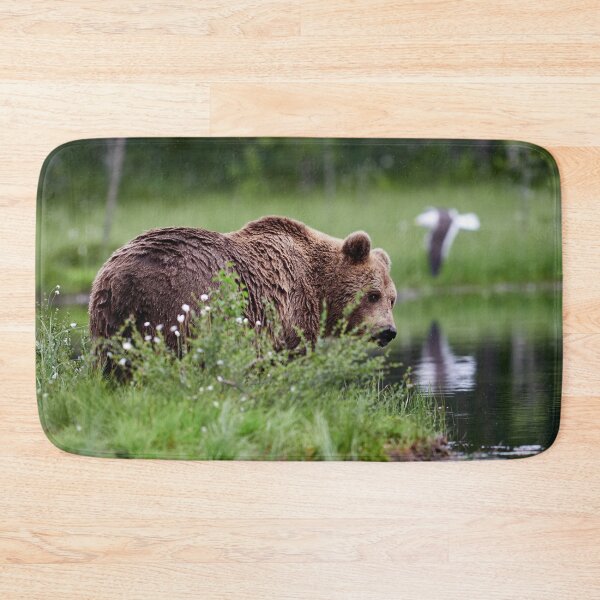 Item preview, Feeling a bit shy. Brown bear designed and sold by Jouko Lehto Photography.