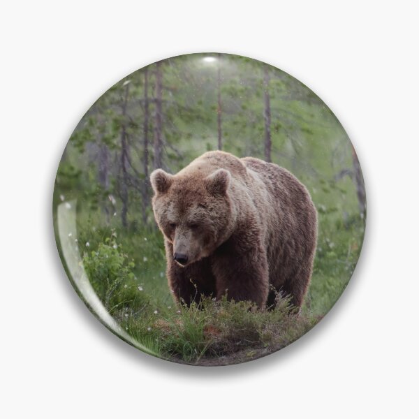Item preview, Should I go or not. Brown bear designed and sold by Jouko Lehto Photography.