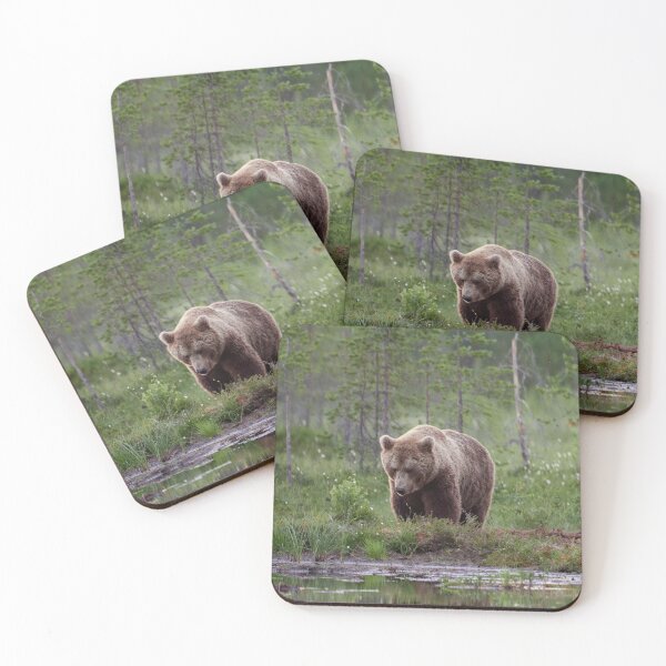Item preview, Should I go or not. Brown bear designed and sold by Jouko Lehto Photography.