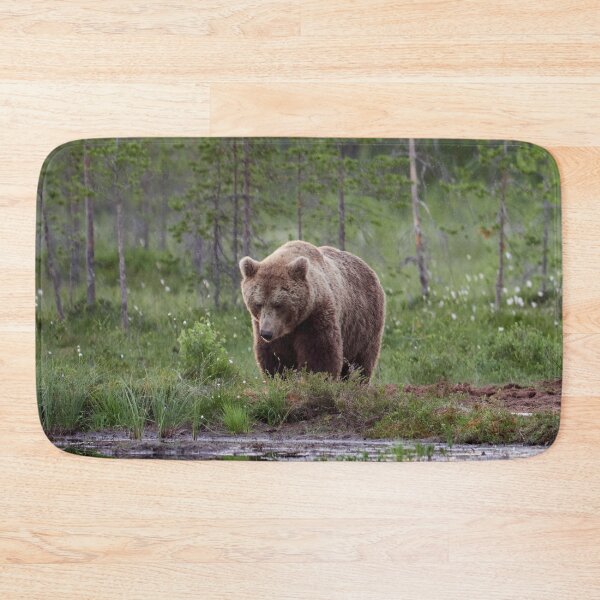 Item preview, Should I go or not. Brown bear designed and sold by Jouko Lehto Photography.