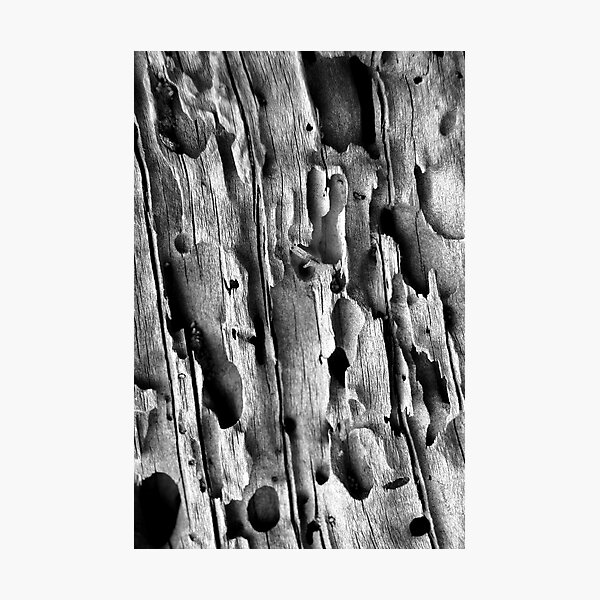 Potholes Photographic Print