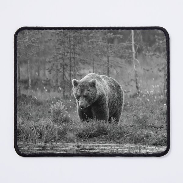 Item preview, Should I go or not. Brown bear bw designed and sold by Jouko Lehto Photography.