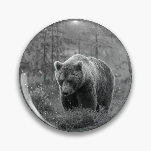 Item preview, Should I go or not. Brown bear bw designed and sold by Jouko Lehto Photography.