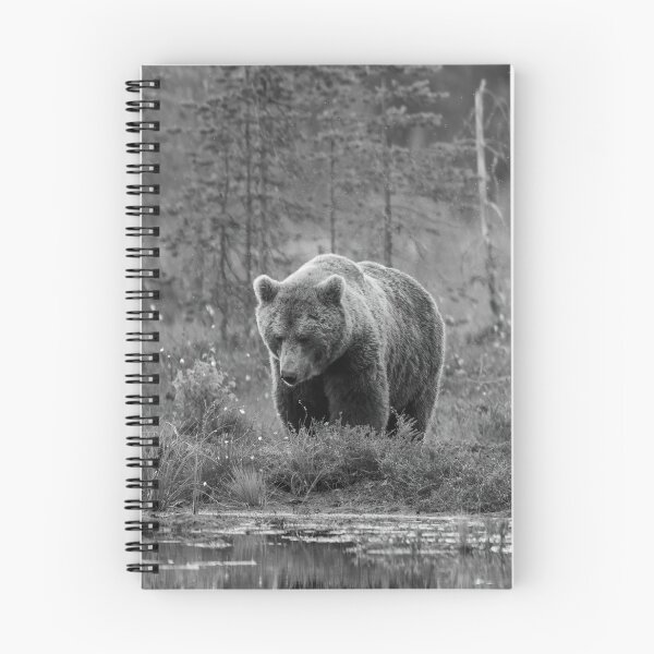 Item preview, Should I go or not. Brown bear bw designed and sold by Jouko Lehto Photography.