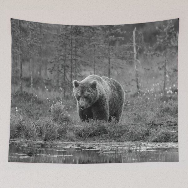 Item preview, Should I go or not. Brown bear bw designed and sold by Jouko Lehto Photography.