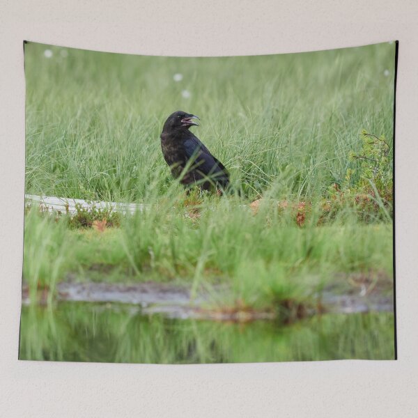 Item preview, Krooo. Raven designed and sold by Jouko Lehto Photography.