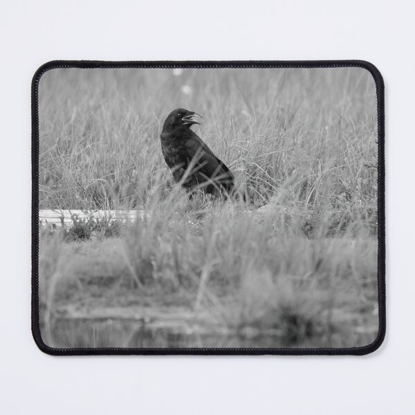 Item preview, Krooo. Raven bw designed and sold by Jouko Lehto Photography.