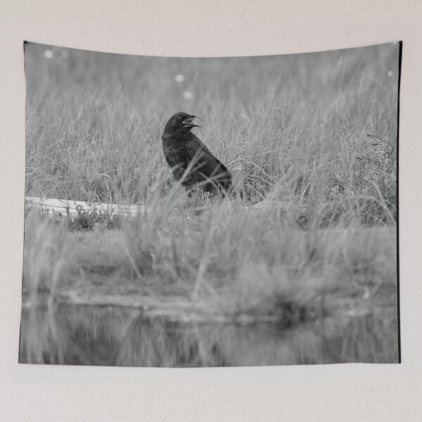 Item preview, Krooo. Raven bw designed and sold by Jouko Lehto Photography.