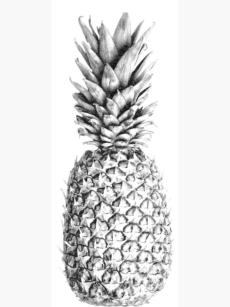 "Black and White Pineapple" Sticker for Sale by Redbubble