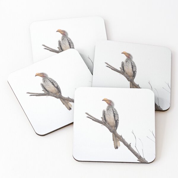Item preview, Southern yellow-billed hornbill - Photograph taken in the Kruger National Park, South Africa designed and sold by Marlienart.