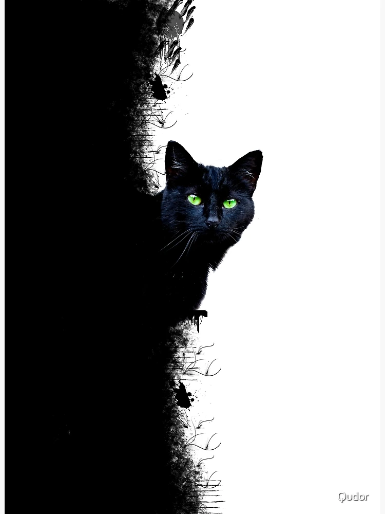 BLACK CATS  稀少ポスター flat,750x,075,f-pad,750x1000,