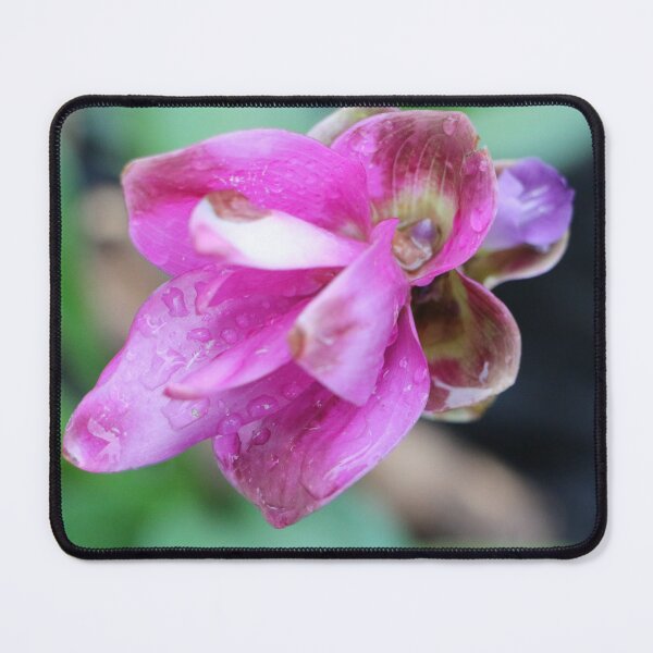 Item preview, Brightly Bloomed. designed and sold by John Tyler Mounce.