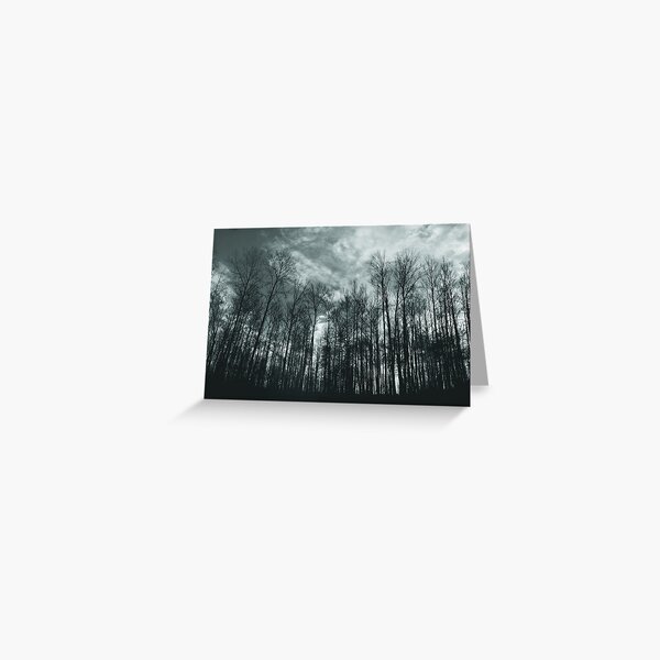Reaching Heavenward Greeting Card