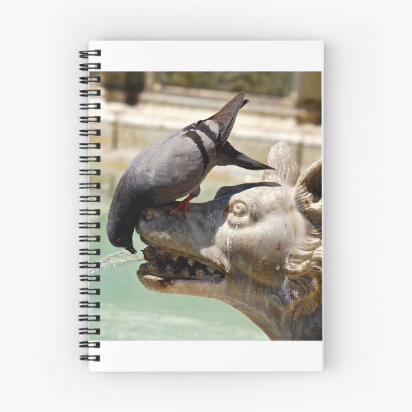 Item preview, Parched Pigeon  designed and sold by BreeFarinaPhoto.