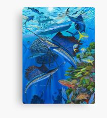 Sailfish Reef Canvas Print