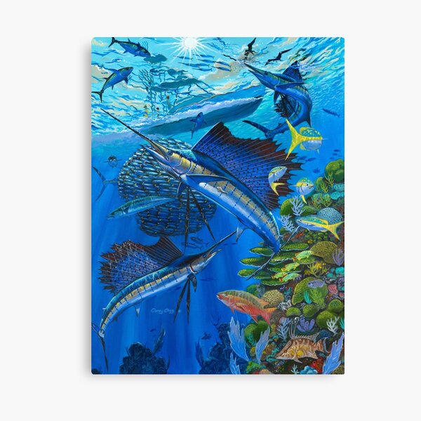 Sailfish Reef Canvas Print