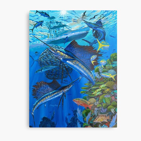 Sailfish Reef Metal Print