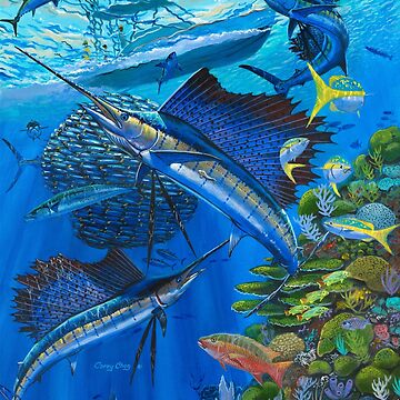 Sailfish Reef Photographic Print for Sale by Carey Chen