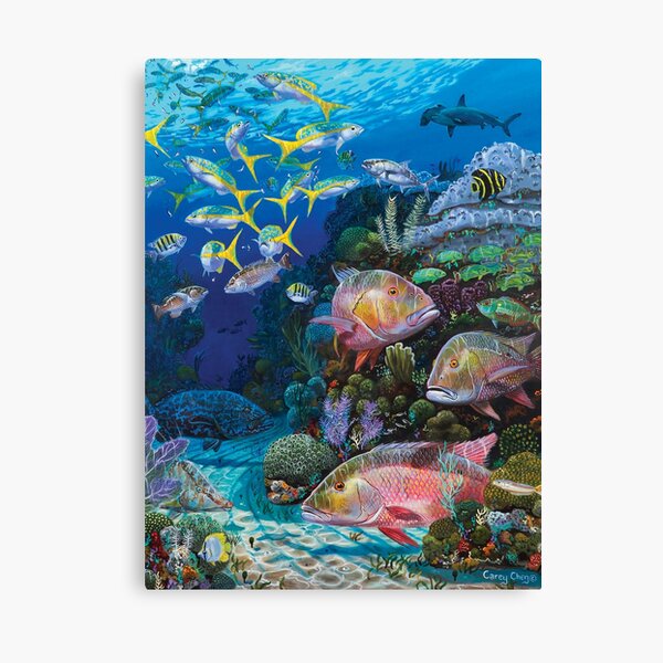 Mutton Reef Canvas Print