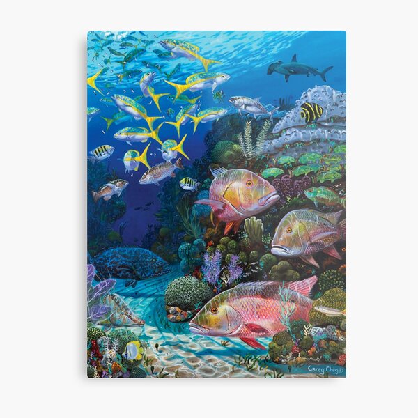 Mutton Reef Metal Print