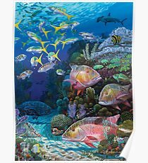 Mutton Reef Poster