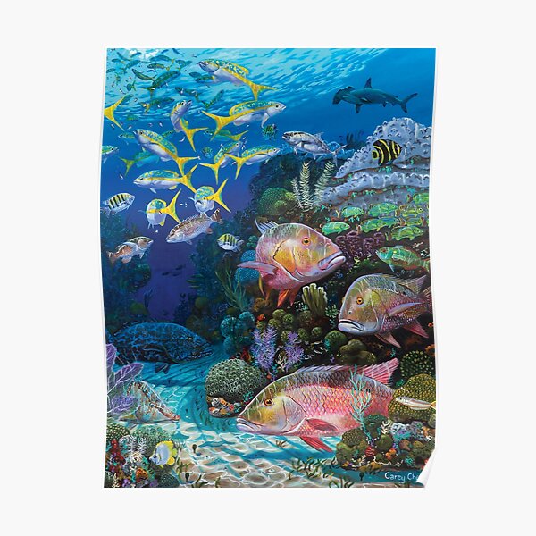 Mutton Reef Poster