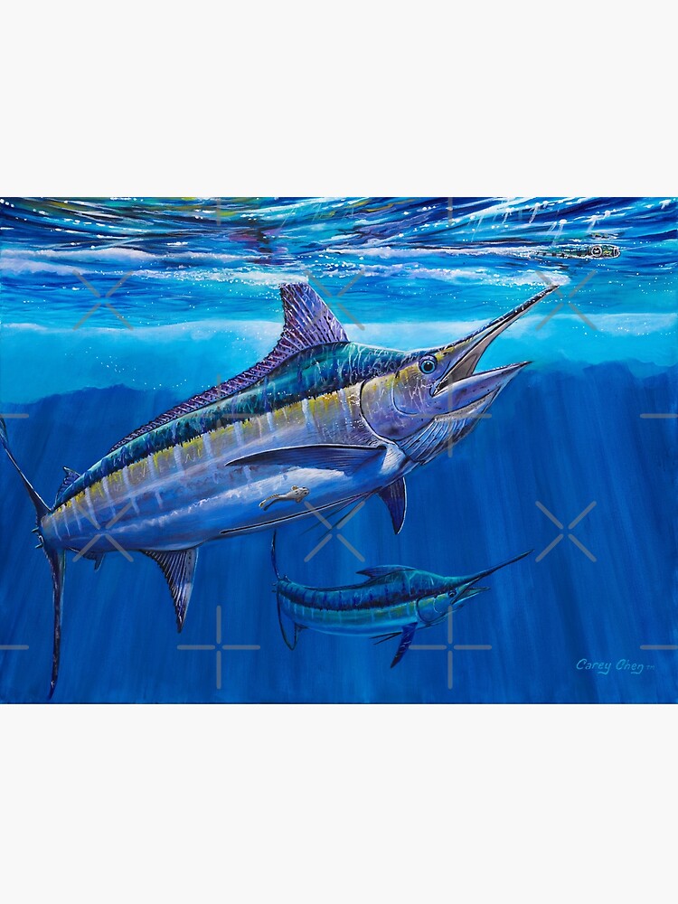 Disover Blue Marlin Bite Canvas