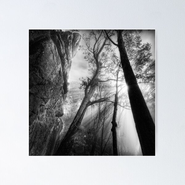 Item preview, Cliff and forest, Mount Buffalo designed and sold by Kevin McGennan.