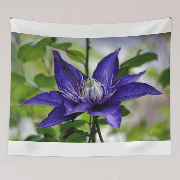 Item preview, Blue Clematis designed and sold by T.J. Martin.