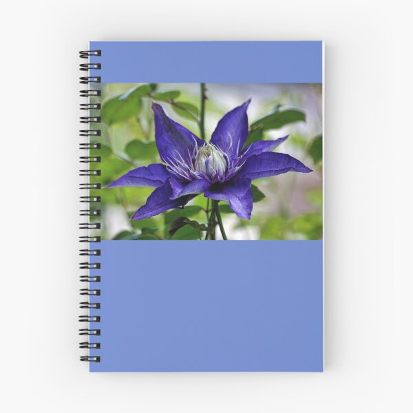 Item preview, Blue Clematis designed and sold by T.J. Martin.