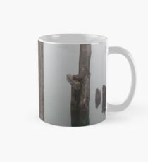 Old Piling Reflections 3 Mug