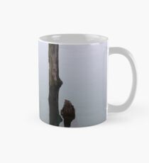 Old Piling Reflections 8 Mug