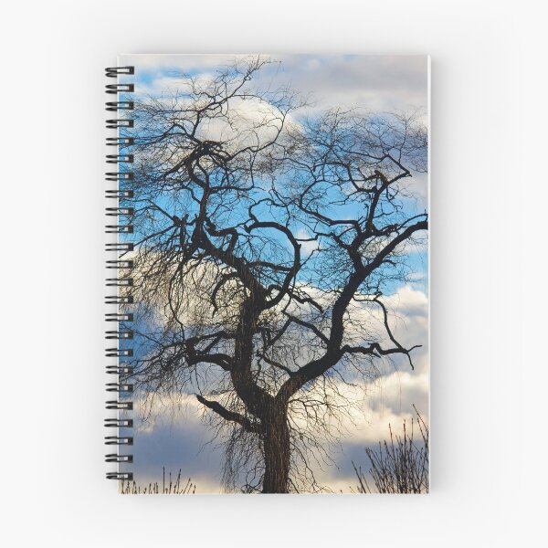 Item preview, Winter's one tree designed and sold by RichImage.