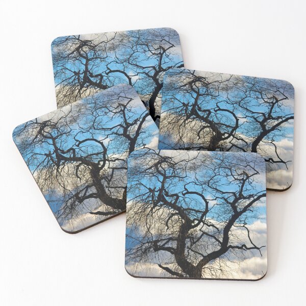 Item preview, Winter's one tree designed and sold by RichImage.