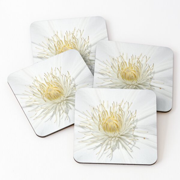 Item preview, Clemátide blanca (Clematis), Alemania designed and sold by Torsten Krüger.